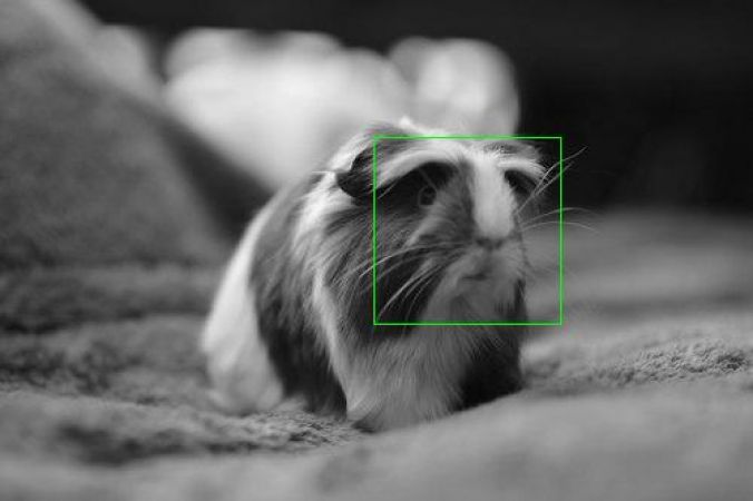 Photo Sharing for Magic Illusion #384<br>500 x 333<br>Published 9 years ago