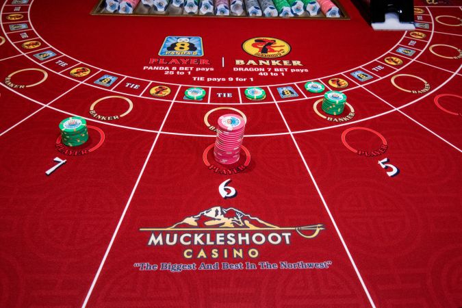 Product Photography #1263<br>8,210 x 5,473<br>Published 5 years ago